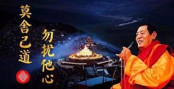如意视频,探索视觉盛宴的奇幻之旅