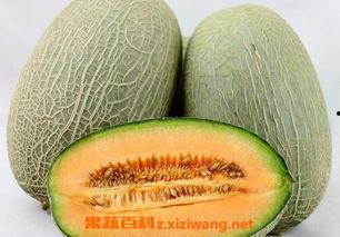 吃瓜百科今日首页在线观看,揭秘娱乐圈最新热点事件