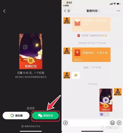 红包视频,趣味互动背后的社交经济奥秘