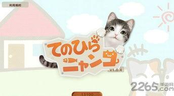 猫咪视频破解版,解锁萌宠世界的秘密通道