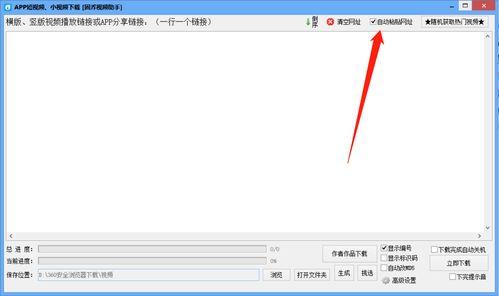 b站视频导出,揭秘[视频标题]背后的故事与启示