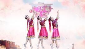 藏族舞蹈教学视频大全,领略藏族舞蹈魅力与精髓