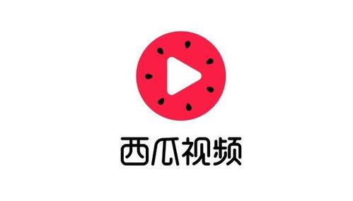 西瓜视频解析,揭秘短视频背后的创作奥秘