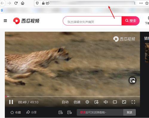 西瓜视频解析,揭秘短视频背后的创作奥秘
