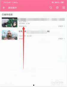 怎么下载b站的视频,B站视频下载全攻略