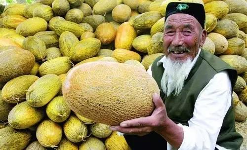 今日热点榜哈密瓜,哈密瓜成为今日热点，揭秘其魅力所在