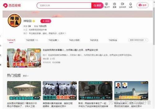 亚洲最大视频网站,引领潮流的视听盛宴