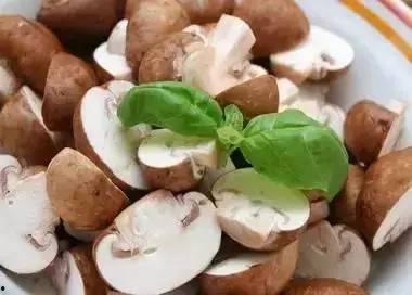 吃瓜爆料黑料蘑菇,吃瓜爆料，黑料蘑菇背后的真相