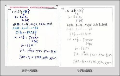 电脑阅卷视频,视频解析背后的技术奥秘