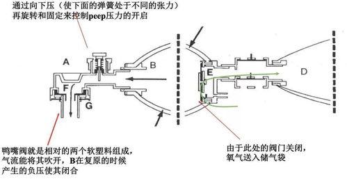 简易呼吸气囊操作视频,简易呼吸气囊操作步骤详解