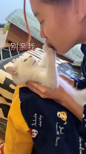 亲亲小视频,捕捉生活中的温馨瞬间