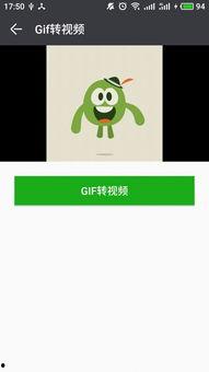 gif转视频,瞬间变永恒，捕捉动态之美