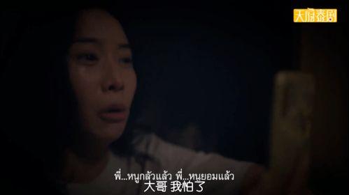 过瘾视频
