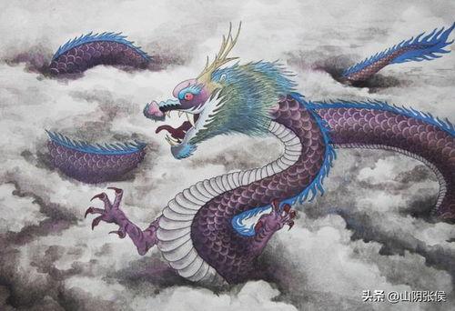关于龙的视频,揭秘古老传说中的龙之奥秘