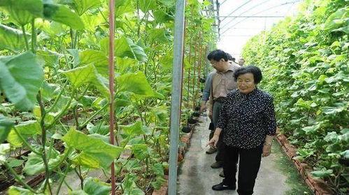 椒江吃瓜最新事件爆料是真的吗,最新爆料真相揭秘