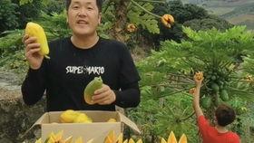 梦见吃黑籽的瓜,黑籽瓜的神秘寓意与启示