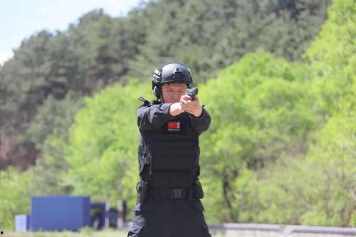 特警训练视频,硬核技能全解析