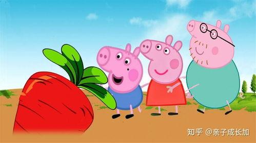 小猪佩奇视频,欢乐童年，温馨成长之旅
