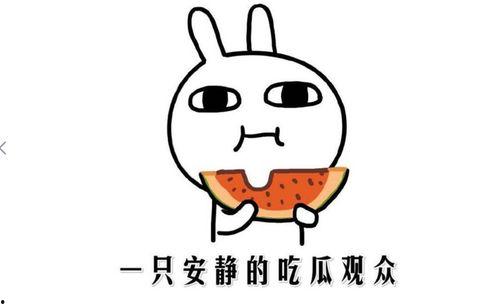 快手网红黑料吃瓜网站,吃瓜网站带你探秘网络红人幕后真相