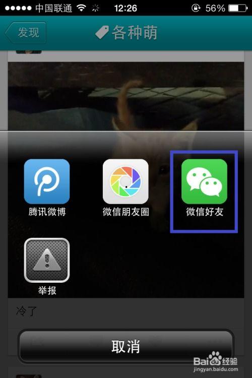 cf2共享视频,揭秘游戏背后的精彩瞬间与战术解析