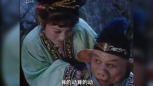 猪八戒背媳妇视频,趣味横生的奇幻之旅