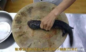 网红做菜视频,跟随短视频学做家常美食