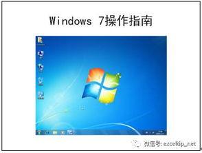 插插的视频,探索科技与生活的完美融合