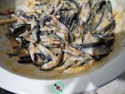 51爆料吃瓜小鱼,揭秘吃瓜小鱼背后的惊人真相