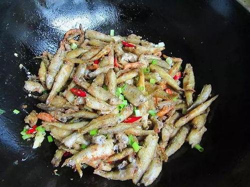 51爆料吃瓜小鱼,揭秘吃瓜小鱼背后的惊人真相