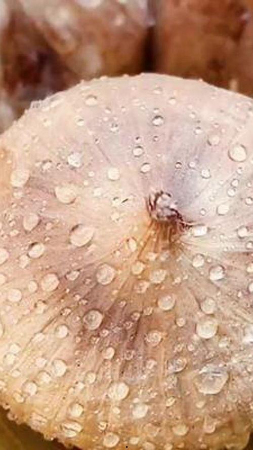黑蒜姐吃瓜,揭秘娱乐圈幕后真相