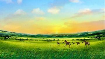 草原风景视频,碧波荡漾的绿色画卷