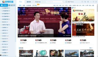 下载央视网视频,探寻时代脉搏下的社会变迁