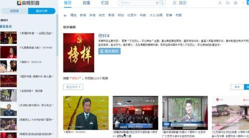 下载央视网视频,探寻时代脉搏下的社会变迁