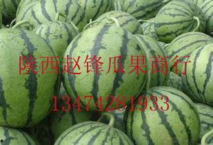 宁夏今日哈密瓜价格行情,今日新鲜上市，品质优良，价格实惠”