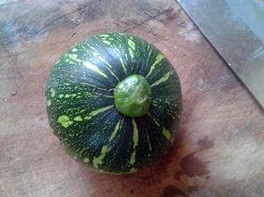 湖南公司黑料吃瓜,揭秘背后的真相与争议