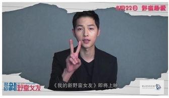 讲道视频,信仰与生活的深刻启示