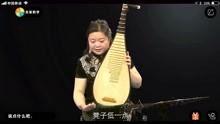 琵琶视频在线观看,在线欣赏琵琶艺术的魅力之旅