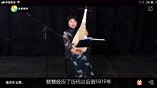 琵琶视频在线观看,在线欣赏琵琶艺术的魅力之旅
