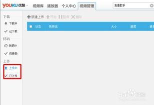优酷视频上传,揭秘热门视频背后的制作故事