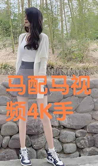 马配马的视频,探寻马术运动的激情与魅力