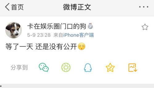 每日吃瓜爆料微信公众号,揭秘娱乐圈最新爆料，带你领略明星幕后故事