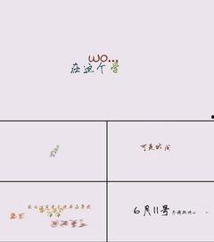 毕业视频文字,青春记忆与未来展望的交织