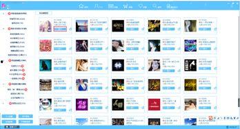 视频社区,内容盛宴与互动新天地