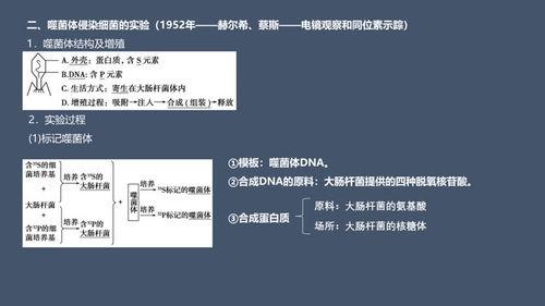生物必修二视频,生命奥秘探索之旅
