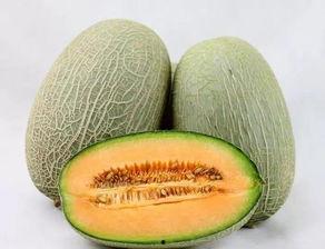 新疆哈密瓜今日价格行情,价格行情一览