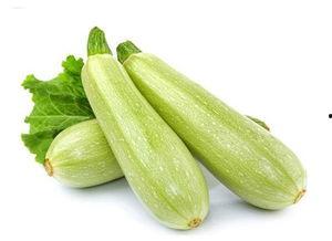 今日蒲瓜的价格1月,市场波动下的蒲瓜市场概览