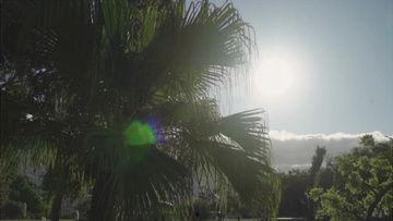 风景视频素材无水印