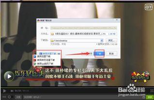 如何下载网络视频,网络视频下载全攻略
