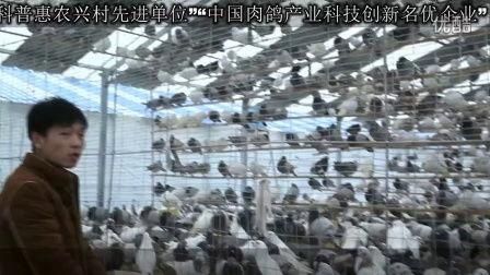 科技苑视频全集,探索科技前沿，揭秘创新奥秘