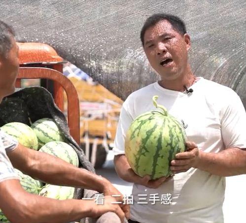 911吃瓜爆料有毒吗是真的吗,有毒还是真相？